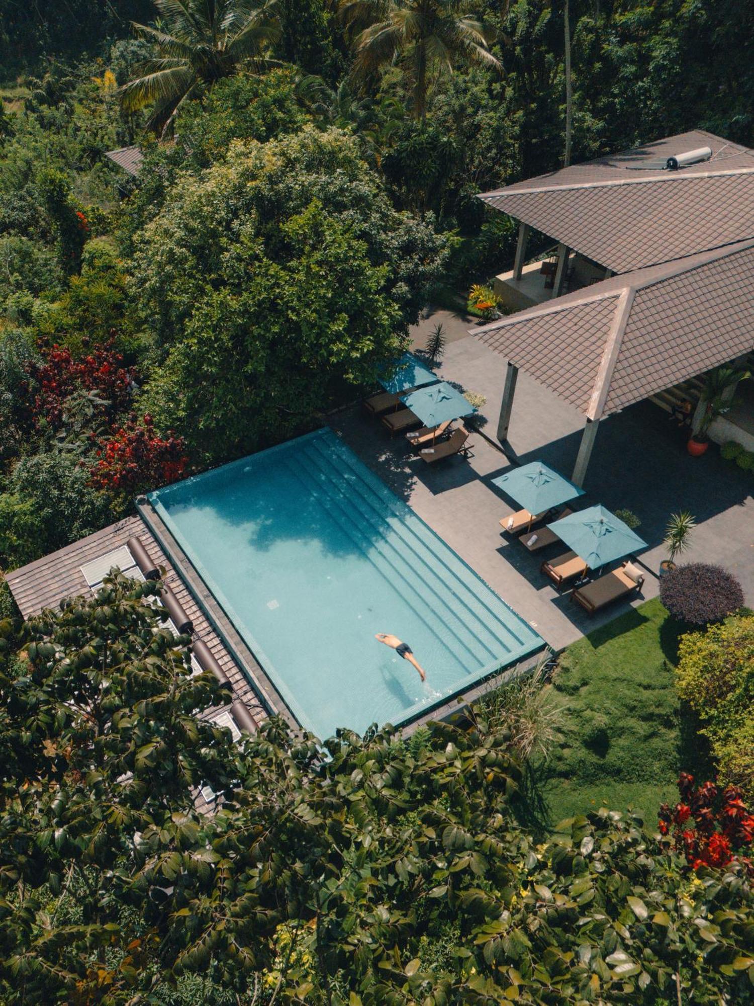 Aarunya Nature Resort - Kandy Buitenkant foto