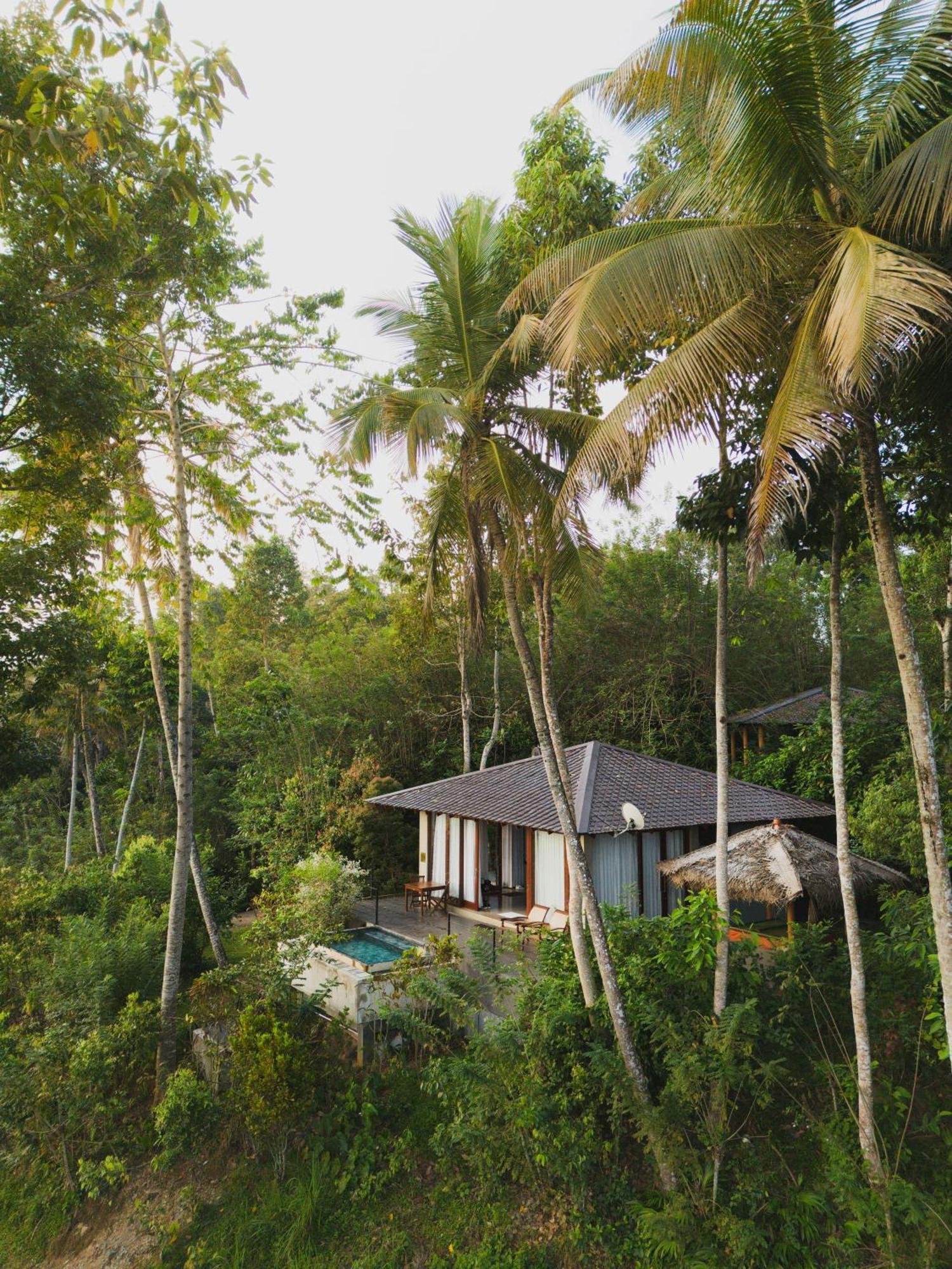 Aarunya Nature Resort - Kandy Buitenkant foto