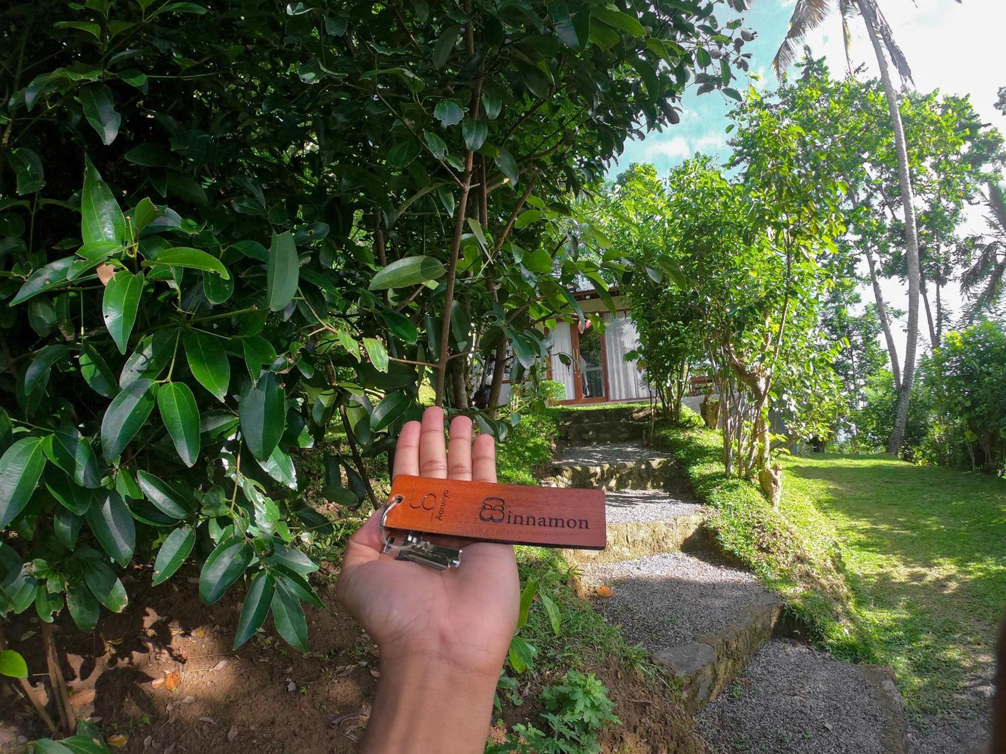 Aarunya Nature Resort - Kandy Buitenkant foto